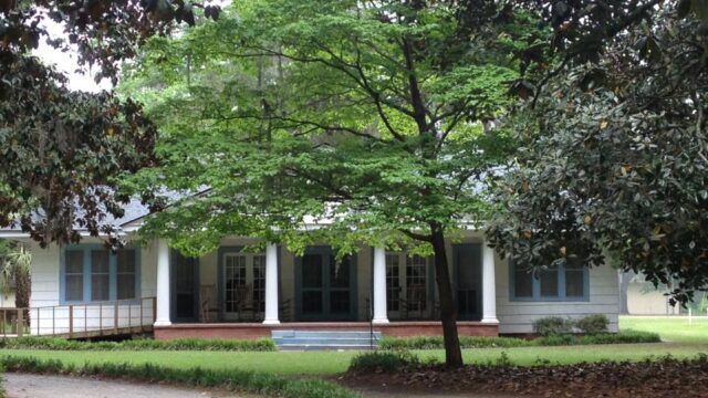 Savannah1-4.jpeg