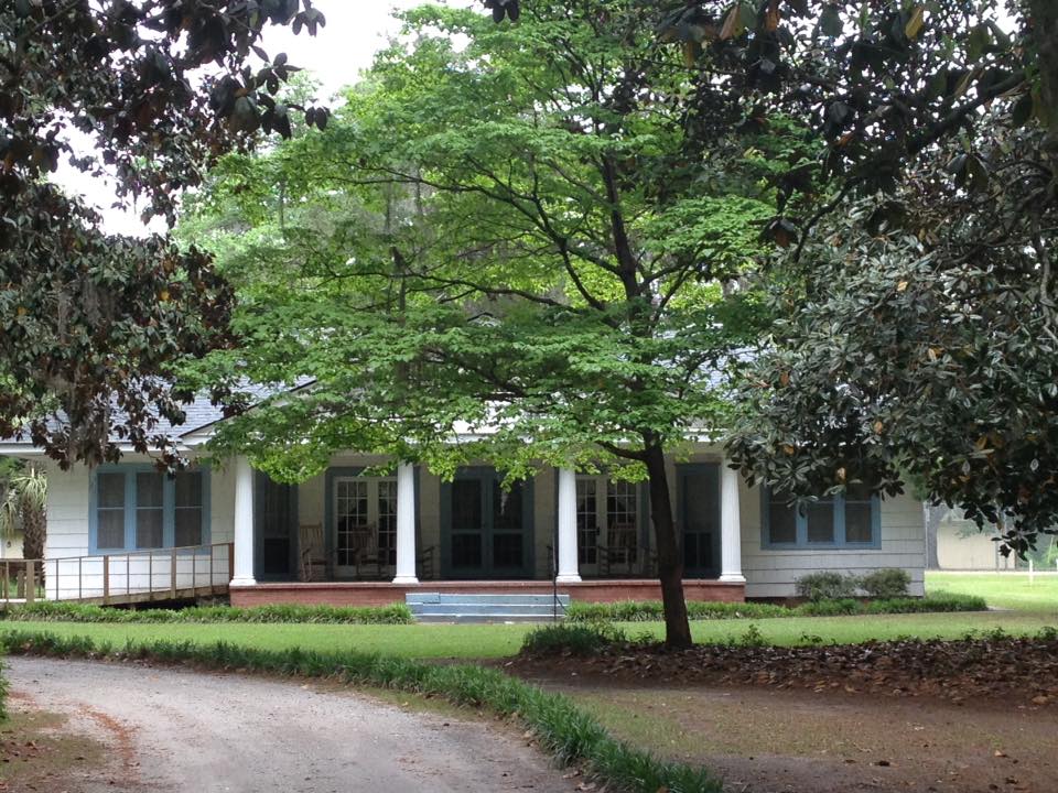 Savannah1-4.jpeg
